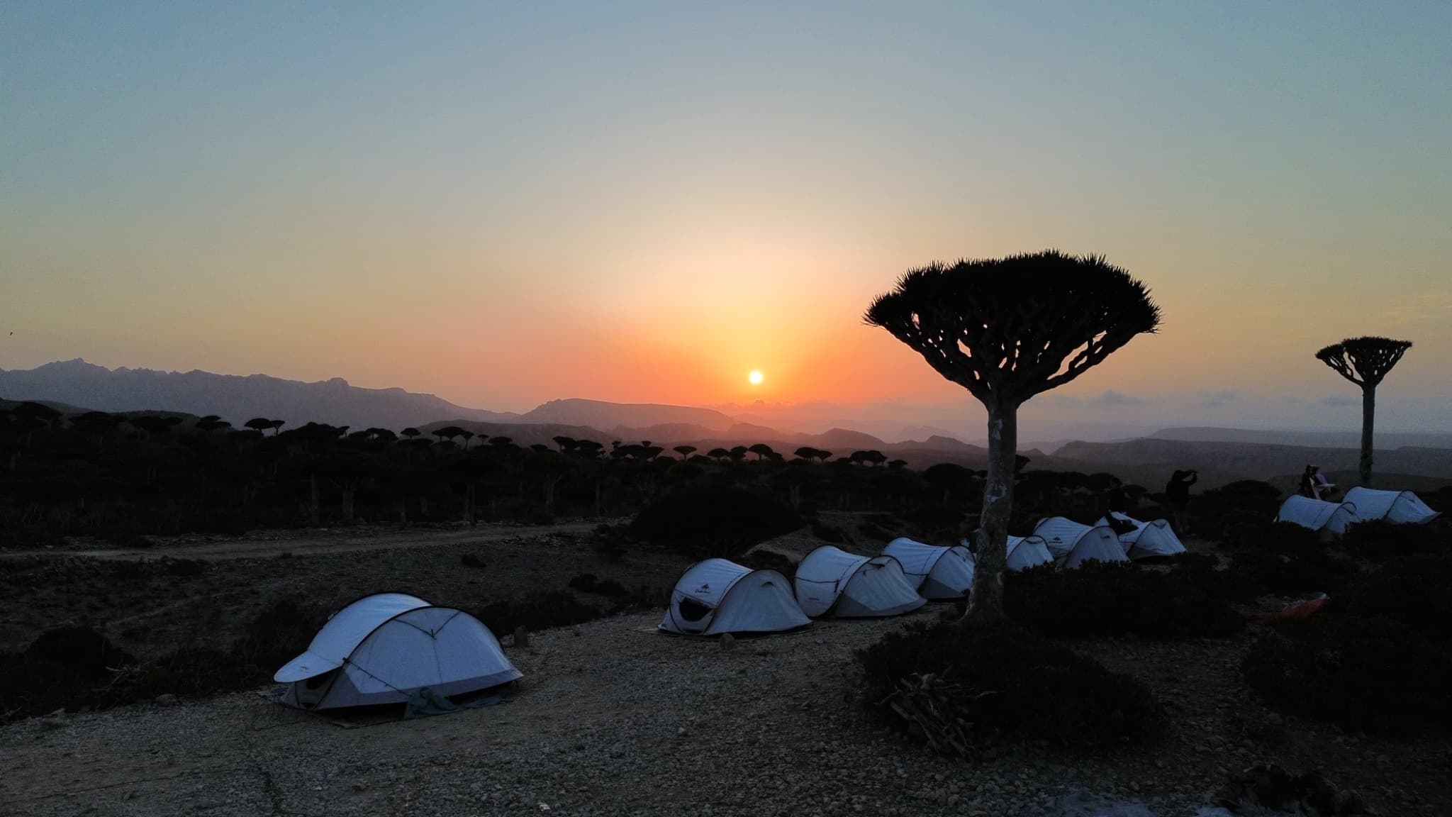 Socotra - 3