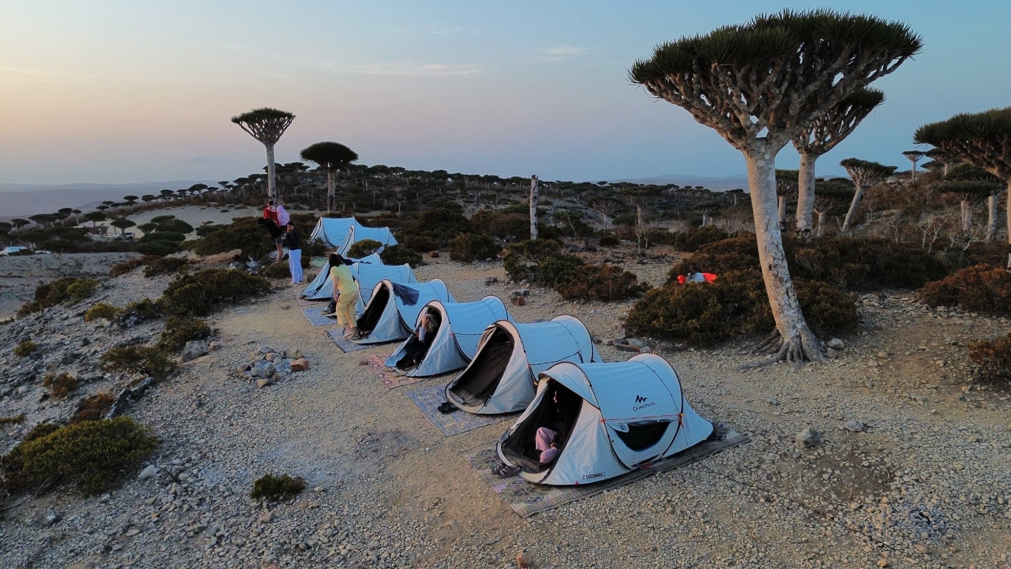 Socotra - 4